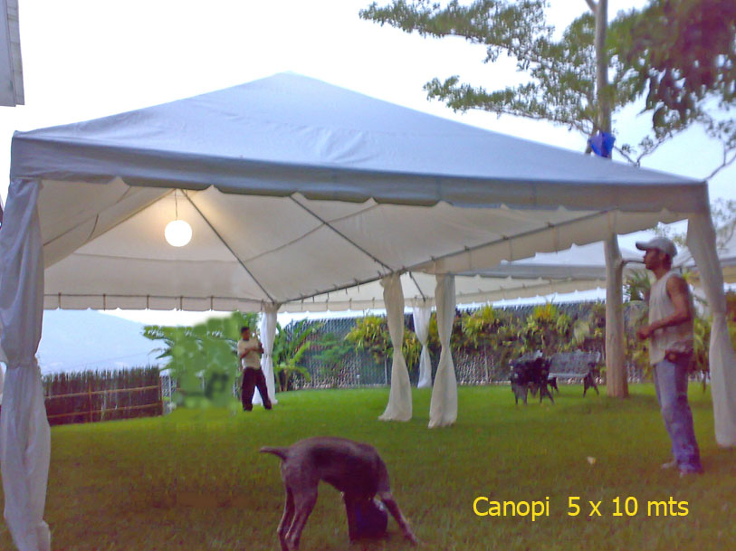 Canopy  5 x 10 mts