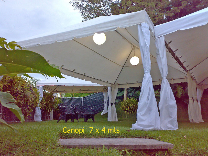 Canopy 7 x 4 mts